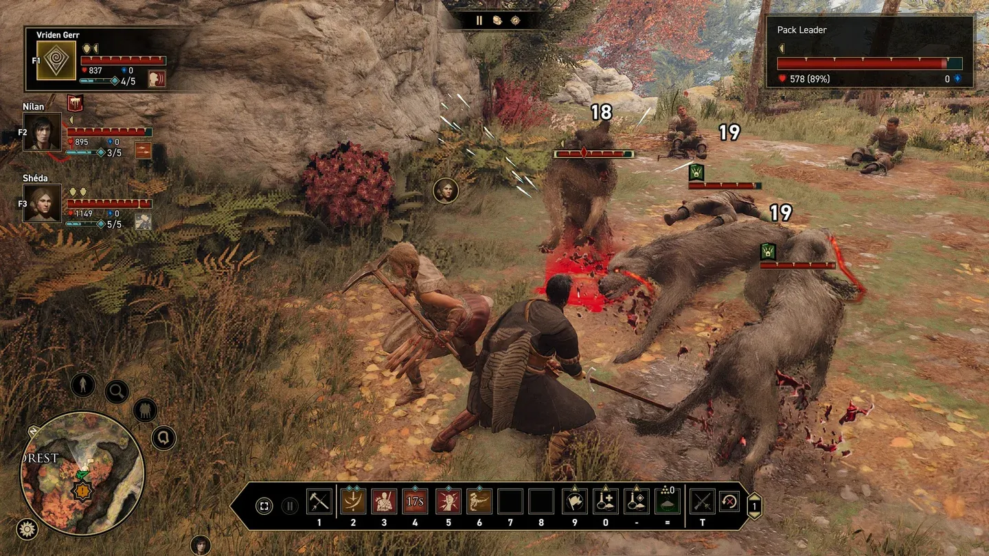 中超风云再,米特里策刷,万身价新高,世界杯直播,2026世界杯,观看方式,直播平台,比赛时间